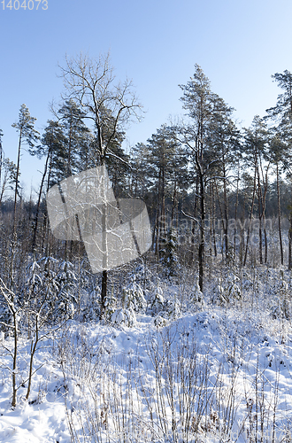 Image of Snow drifts in winter