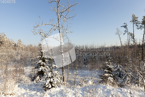 Image of Snow drifts in winter