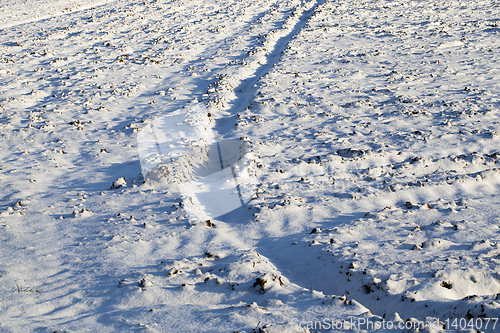 Image of Footprints in the snow