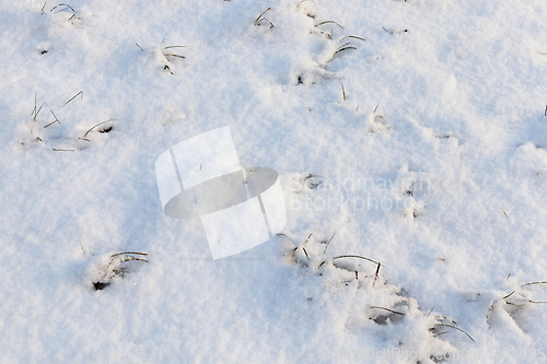 Image of Snow drifts in winter