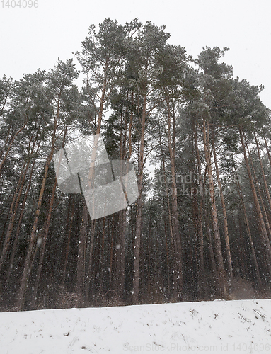 Image of Snow drifts in winter