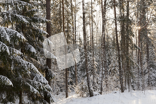 Image of Snow drifts in winter