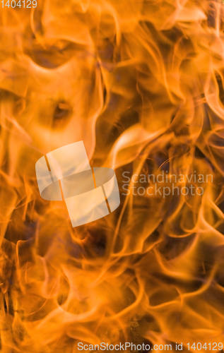 Image of orange flames