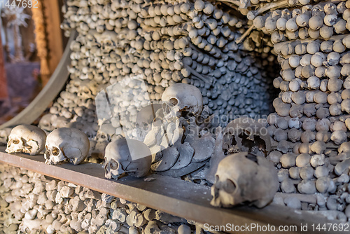 Image of Human skulls and bones in ossuary Sedlec Kostnice