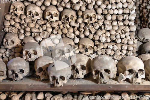 Image of Human skulls and bones in ossuary Sedlec Kostnice