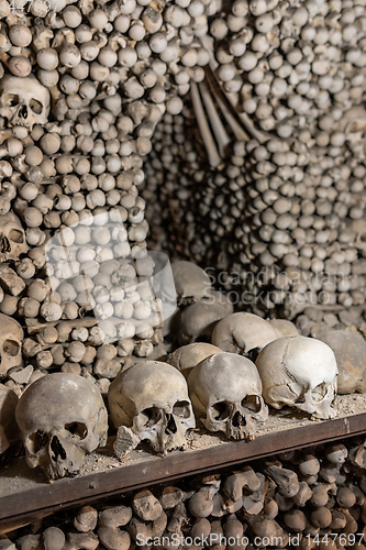 Image of Human skulls and bones in ossuary Sedlec Kostnice