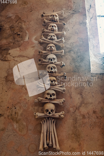 Image of Human skulls and bones in ossuary Sedlec Kostnice