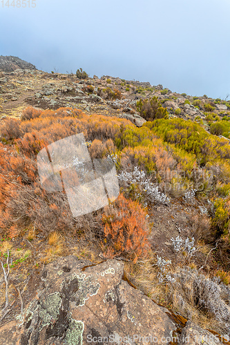 Image of landscape of Bale Mountain