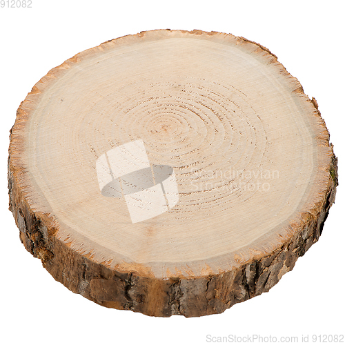 Image of Wood log slice