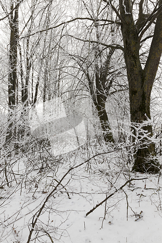 Image of Snow drifts in winter