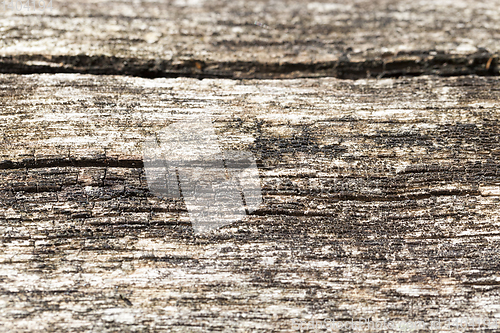 Image of Old wooden boards