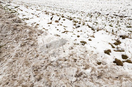 Image of Snow drifts in winter