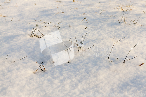 Image of Snow drifts in winter