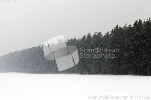 Image of Winter landscape, snowfall