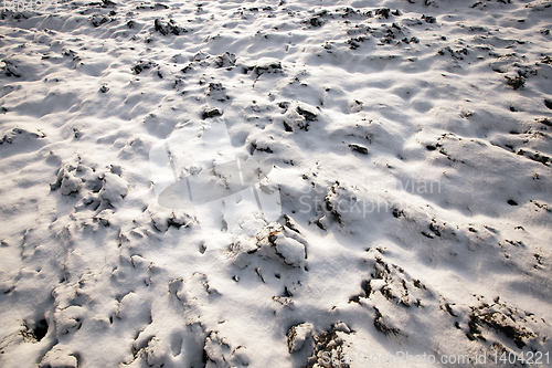 Image of Snow drifts on the ground