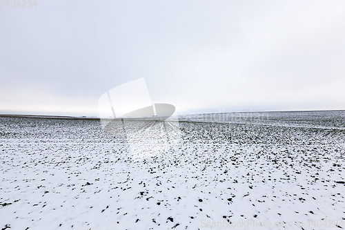 Image of Snow drifts in winter