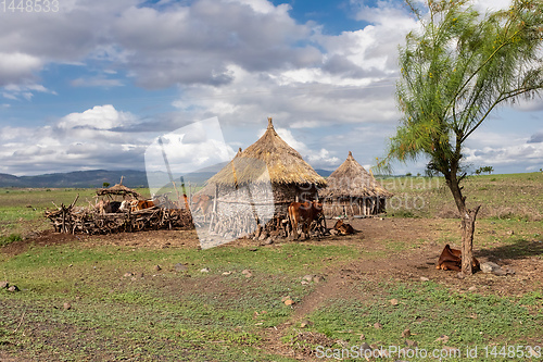 Image of mountain landscape with farm, Ethiopia