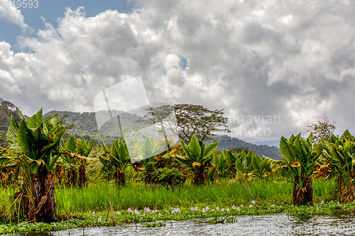 Image of Madagascar traditional wilderness landscape