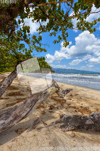 Image of paradise beach in maloala, Madagascar