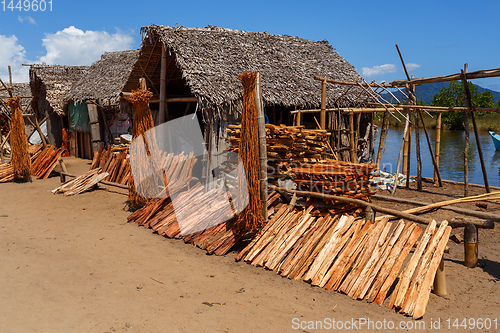 Image of drying wood behind hut, Madagascar