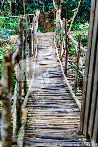 Image of Wooden Bridge in rainforest Landscape, Madagascar