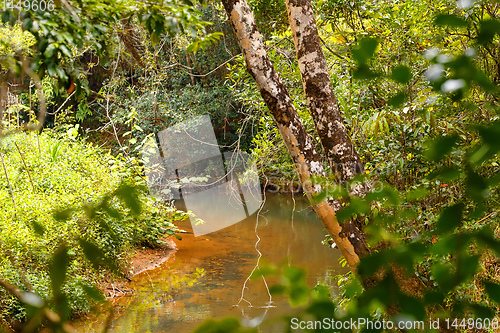 Image of Madagascar traditional wilderness landscape