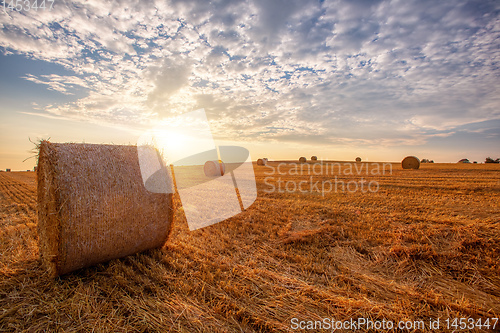 Image of harvested field with straw bales in summer