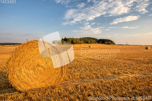 Image of harvested field with straw bales in summer