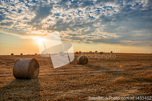 Image of harvested field with straw bales in summer