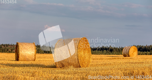 Image of harvested field with straw bales in summer