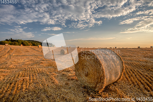 Image of harvested field with straw bales in summer