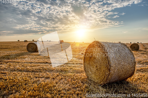 Image of harvested field with straw bales in summer