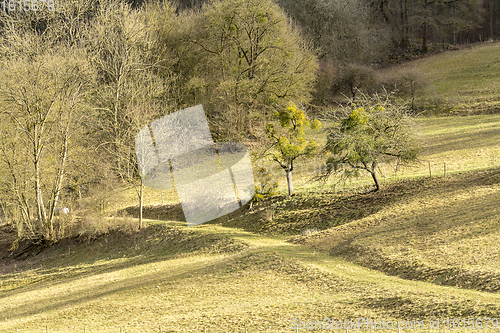 Image of rural landscape in Hohenlohe