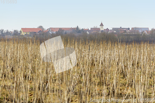 Image of Uebrigshausen in Hohenlohe