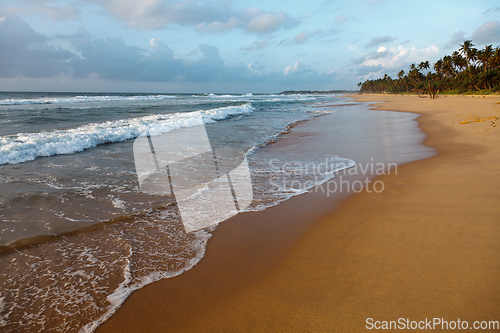 Image of Ocean sunset