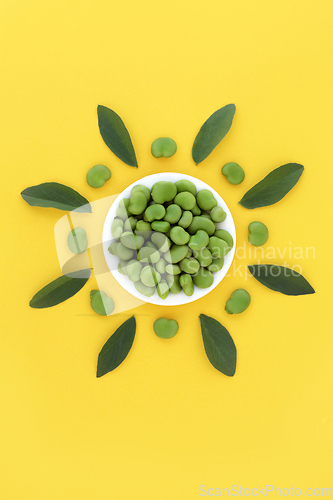 Image of Broad Bean Vegetable Health Food Abstract