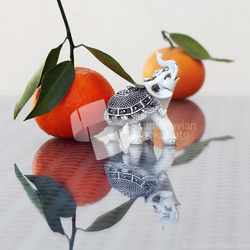 Image of Toy Elephant and Tangerines