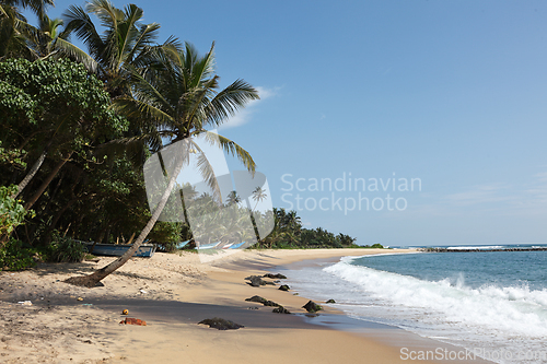 Image of Idyllic beach. Sri Lanka