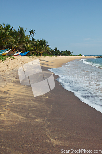 Image of Idyllic beach. Sri Lanka