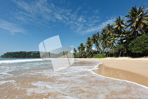 Image of Idyllic beach. Sri Lanka