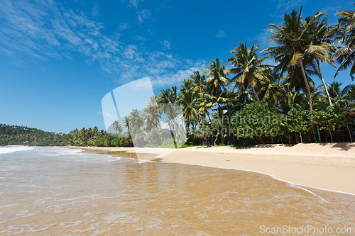 Image of Idyllic beach. Sri Lanka