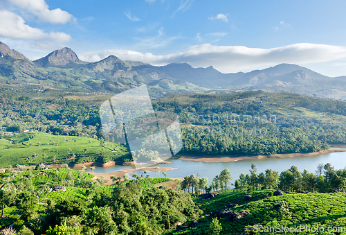 Image of Tea plantations