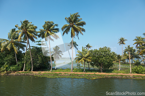 Image of Kerala backwaters