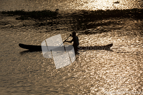 Image of Man in canoe. Kerala backwaters, India