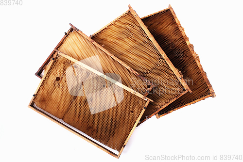 Image of honey combs frames