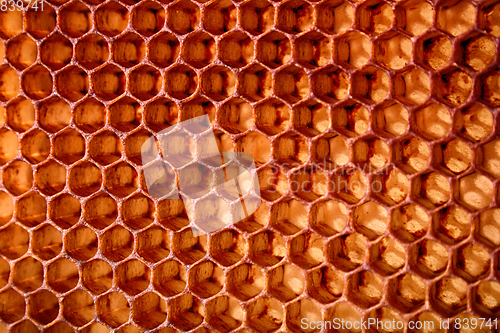 Image of honey combs background