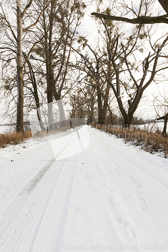 Image of Rural winter road