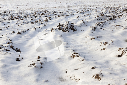 Image of plowed field under snow