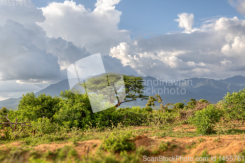 Image of Mago National Park, Omo Valley, Etiopia