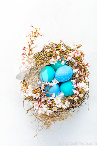 Image of Happy Easter - nest with Easter eggs and cherry branch on white background with copy space